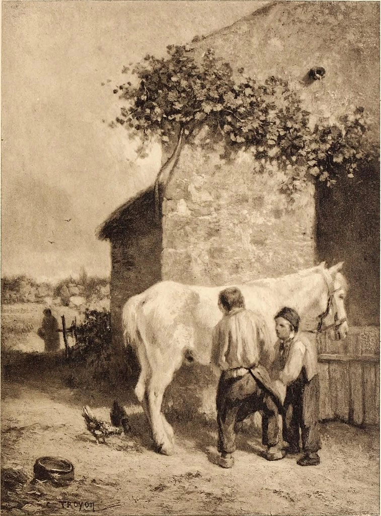 Il maniscalco